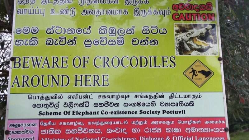 Arugam Bay in der Nebensaison – Sri Lankas ruhige Seite für Reisende ab 55 entdecken