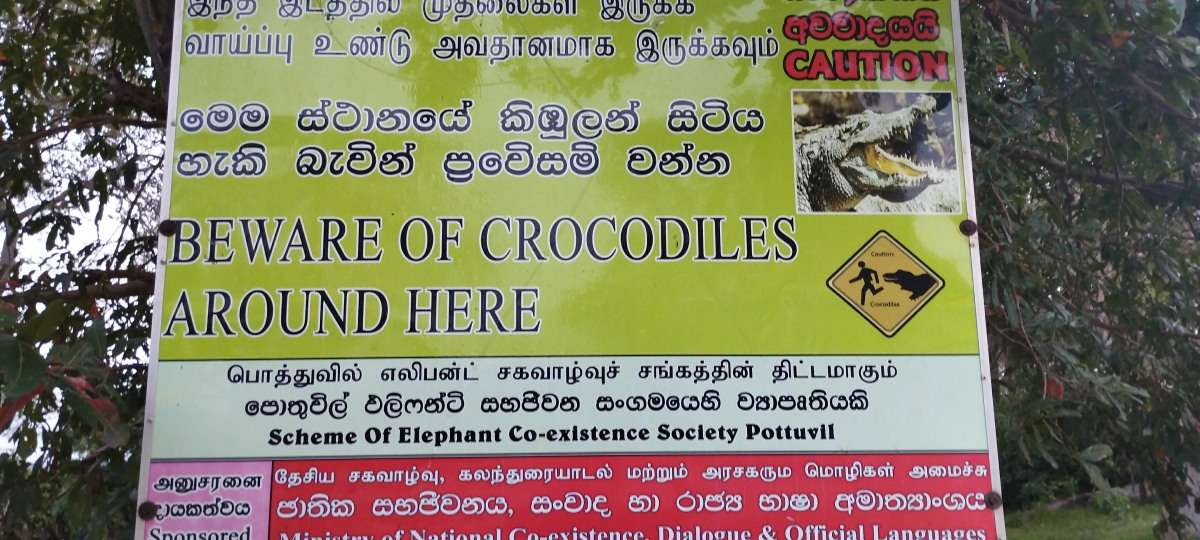 Arugam Bay in der Nebensaison – Sri Lankas ruhige Seite für Reisende ab 55 entdecken